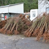 Dağ yöresi meyvecilikle kalkınıyor 