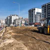 Çalı yolunda 'yeşil' seferberliği Çalı yolunda 'yeşil' seferberliği