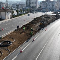 Çalı yolunda 'yeşil' seferberliği Çalı yolunda 'yeşil' seferberliği