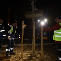 Çalı yolunda 'yeşil' seferberliği Çalı yolunda 'yeşil' seferberliği
