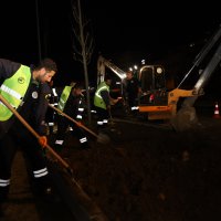 Çalı yolunda 'yeşil' seferberliği Çalı yolunda 'yeşil' seferberliği