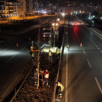 Çalı yolunda 'yeşil' seferberliği Çalı yolunda 'yeşil' seferberliği