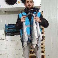 Uygunsuz avlanmaya geçit yok 
