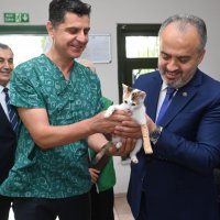Sokak hayvanlarına Büyükşehir şefkati 