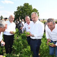 Büyükşehir’in tarlada izi var 