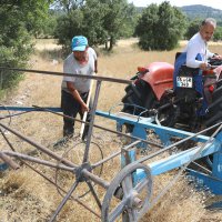 Büyükşehir’in tarlada izi var 