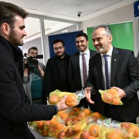 Üniversiteliler vitaminle ‘final’ yaptı  