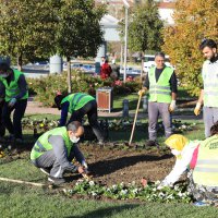 Büyükşehir’le yeniden ‘Yeşil Bursa’ 
