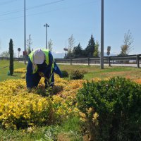 Büyükşehir’le yeniden ‘Yeşil Bursa’ 