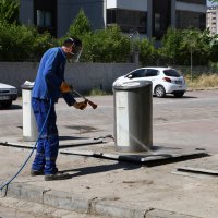 Sinekle mücadele laboratuvara taşındı 