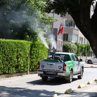 Sinekle mücadele laboratuvara taşındı 