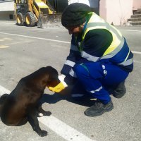 Nerede bir can varsa, orada Bursa var 