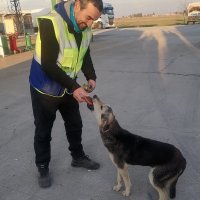 Nerede bir can varsa, orada Bursa var 