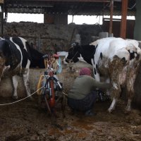 Bursa itfaiyesi gece gündüz vatandaşın hizmetinde 