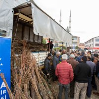 Harmancık’ın marka değeri ceviz olacak 