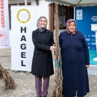 Harmancık’ın marka değeri ceviz olacak 