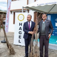 Harmancık’ın marka değeri ceviz olacak 