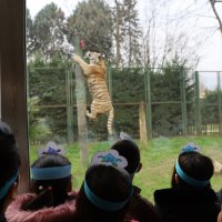 Suyun önemi çocuklara anlatıldı 
