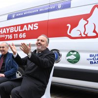 Patili dostlara ‘Haybulans’ 