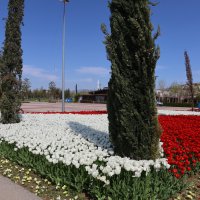 Baharın tüm renkleri Bursa’yı sardı 