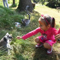 Bayram neşesi, Hayvanat Bahçesi’nde yaşanacak 