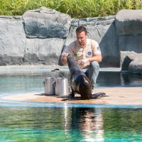 Bayram neşesi, Hayvanat Bahçesi’nde yaşanacak 