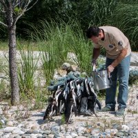 Bayram neşesi, Hayvanat Bahçesi’nde yaşanacak 