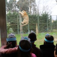 Bayram neşesi, Hayvanat Bahçesi’nde yaşanacak 