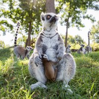 Bayram neşesi, Hayvanat Bahçesi’nde yaşanacak 