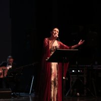 Çelikkol’a vefa konseri 