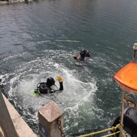 Denizden çıkanlar, görenleri şaşırttı 