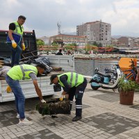 Denizden çıkanlar, görenleri şaşırttı 