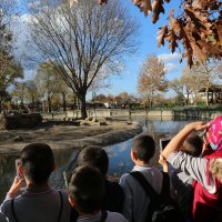 Çocukların bayramı Hayvanat Bahçesi’nde 