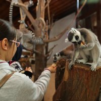 Çocukların bayramı Hayvanat Bahçesi’nde 