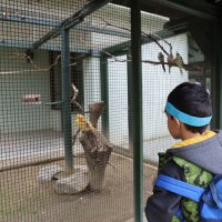 Çocukların bayramı Hayvanat Bahçesi’nde 