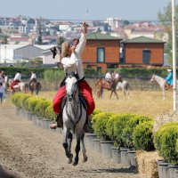 Atlı Okçulukta çeyrek final heyecanı 