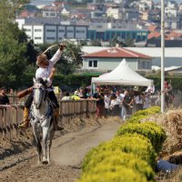 Atlı Okçulukta çeyrek final heyecanı 