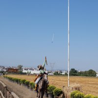 Atlı Okçulukta çeyrek final heyecanı 