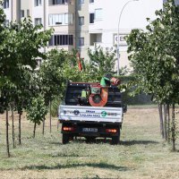 Sinekle mücadele hız kesmiyor 