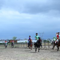 Rahvan at yarışlarında çeyrek final heyecanı 
