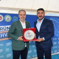 Rahvan at yarışlarında çeyrek final heyecanı 