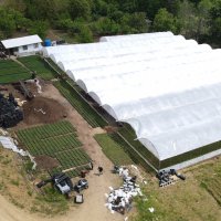 Çiftçi üretiyor, Bursa çiçek açıyor 