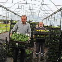 Çiftçi üretiyor, Bursa çiçek açıyor 