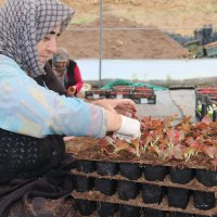 Çiftçi üretiyor, Bursa çiçek açıyor 