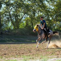 Ciritçiler 15 Temmuz şehitleri için sahaya indi 