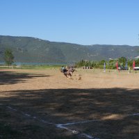Ciritçiler 15 Temmuz şehitleri için sahaya indi 