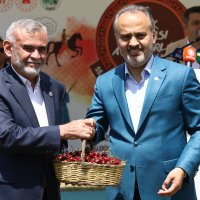 Keles kirazı da artık tescilli 