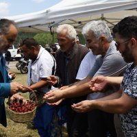 Keles kirazı da artık tescilli 