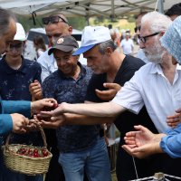 Keles kirazı da artık tescilli 