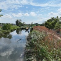 Drone ile sinek avı 